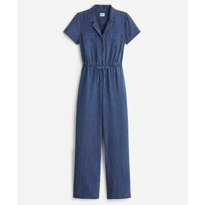 J. Crew Blue Striped Jumpsuit